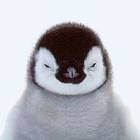 Le Pingouin ou le Manchot icône