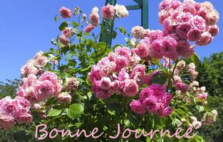 Bonjour 스크린샷 1