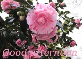 Good Morning 스크린샷 2