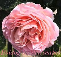Boldog Születésnapot v2 पोस्टर
