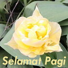 Selamat Pagi 3a icono