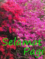 Selamat Pagi 3a Poster