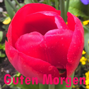 Guten Morgen APK