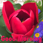 Good Morning ikona