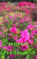 برنامه‌نما Buongiorno عکس از صفحه
