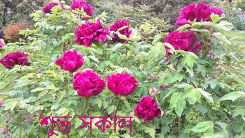 সুপ্রভাত screenshot 1