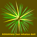 Athbhliain faoi mhaise duit APK