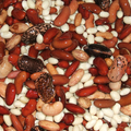 Haricots