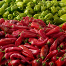 Poivron APK