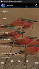 Popular Ringtones Free APK download