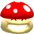 Mushrooms Memory