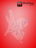 iBudokan Judo All Affiche