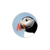Ornidroid APK