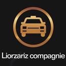 APK liorzariz driver