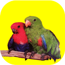 Coloriage pour enfants APK