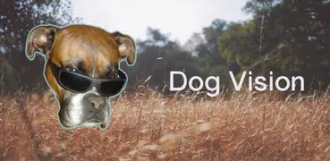 Dog vision
