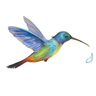 La légende du colibri Zeichen
