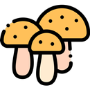 GeoChampi APK