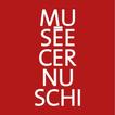 Musée Cernuschi icono