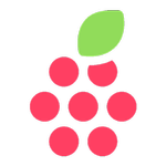 RaspiSMS Relay icon