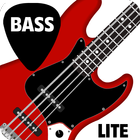 Bass lessons newbie VIDEO LITE أيقونة