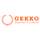 APK Gekko Expertise & Conseils