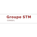 Groupe STM Conseil et Associés APK