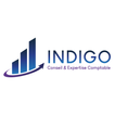 INDIGO icon