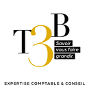 T3B Expertise & Conseil APK