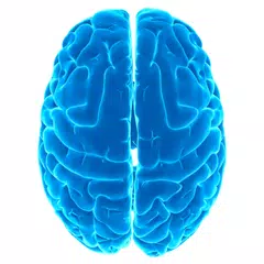 Logical tests - IQ XAPK download