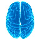 तार्किक परीक्षण - IQ APK