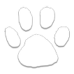 Googly Zoo