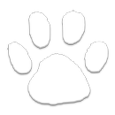 Googly Zoo APK