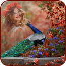 Peacock Photo Frame & Editor | Peacock Feathers APK