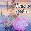 Frases sabias de la vida APK