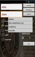 French Malagasy Dictionary capture d'écran 1