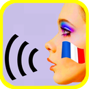 French Grammar Speaking D APK