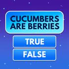 Trivia Game - fun brain quiz! icono