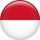 VPN MASTER - INDONESIA APK