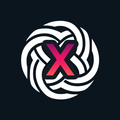 Sexy Chatbot X - No Filter AI