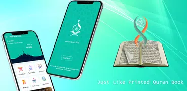 Holy Quran Read(القرآن الكريم)