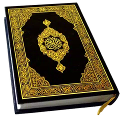 download Quran kareem-القرآن الكريم XAPK
