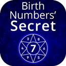 Advanced Numerology Calculator APK