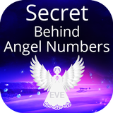 Angel Numbers App - Numerology