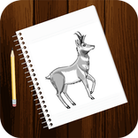 Free Drawing Tutorials - Animals (1st Edition)