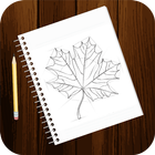 Icona Free Drawing Tutorials - Plants (1st Plant Ed.)