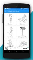 2 Schermata Free Drawing Tutorials - Plants (1st Plant Ed.)