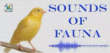 Sonidos de Fauna