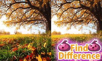 Find the Difference 15 poster