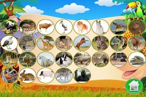 Flashcards for Babies تصوير الشاشة 1